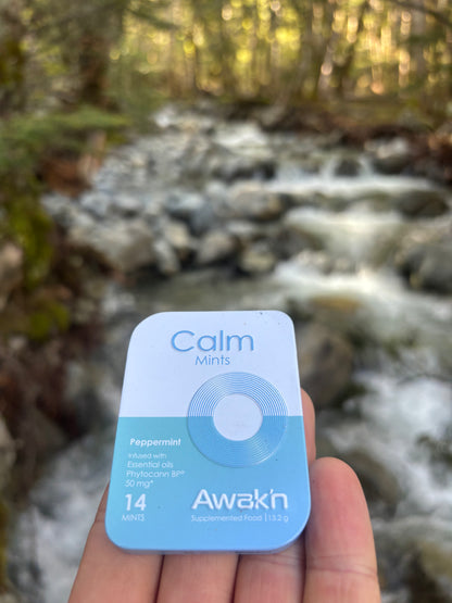 Calm Mints package held in front of a forest stream
